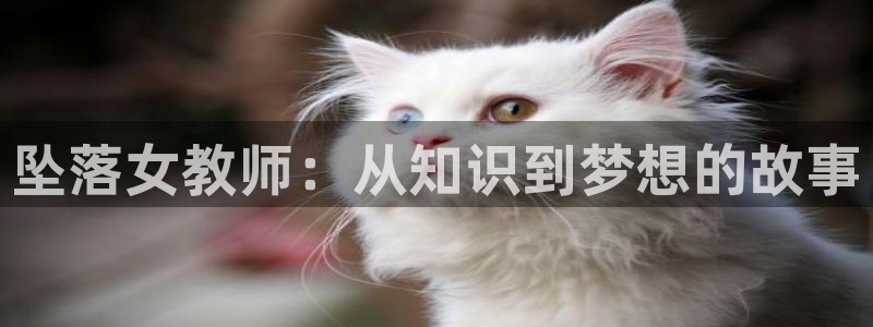 age专注动漫的门户网站