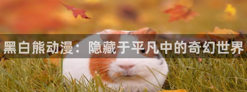 kakaopage韩漫官网