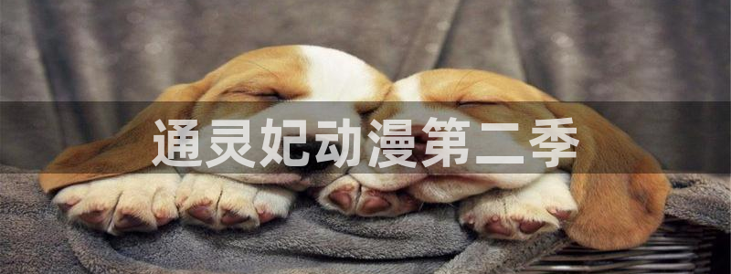 age动漫官网入口老版本