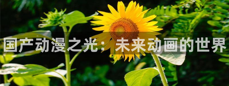 age动漫网