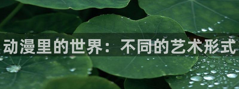 age动漫网