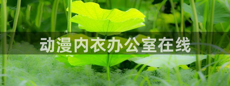 age动漫网