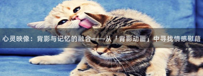 韩国漫画平台kakaopage