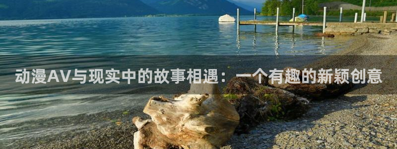 age动漫