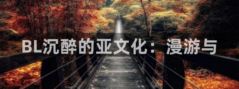 age动漫下载网