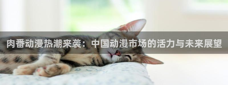 age动漫网下载
