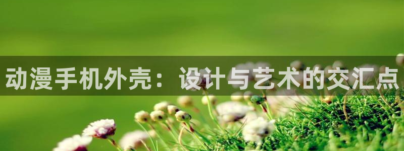 age动漫网：动漫手机外壳：设计与艺术的交汇点
