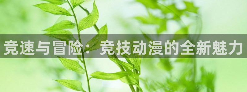 age动漫官网在线入口