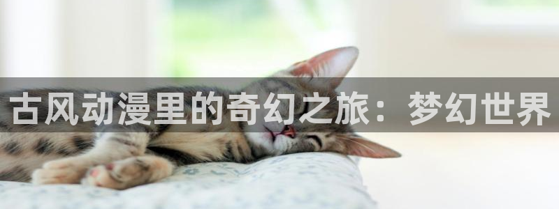 age动漫官网在线入口