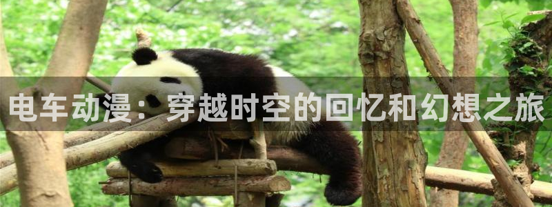 age专注动漫的门户网站