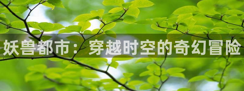 age动漫官网在线入口