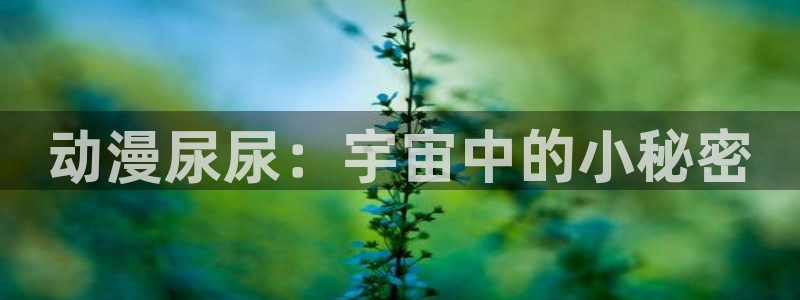 managereader漫画官网入口
