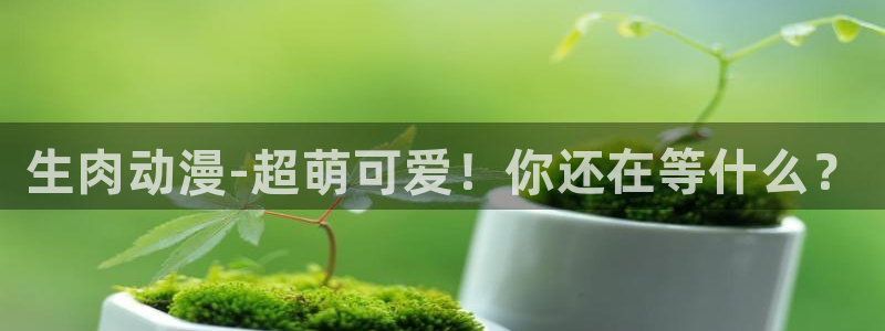 age动漫官网在线入口