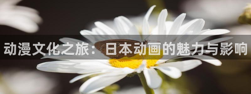 age动漫网