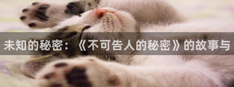 拷贝漫画 copymanager.ory网站