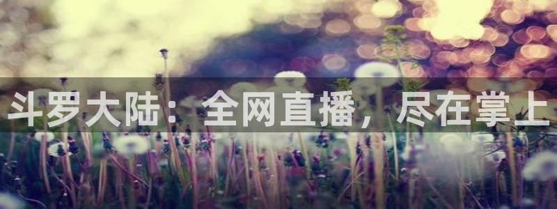age专注动漫的门户网站