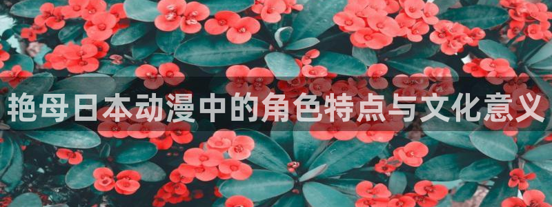age动漫网