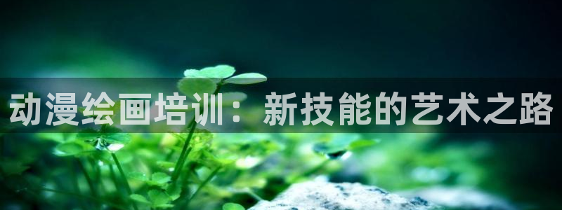 age动漫网