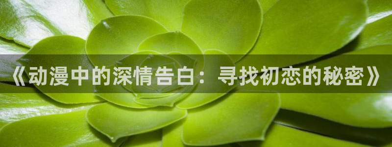age动漫网